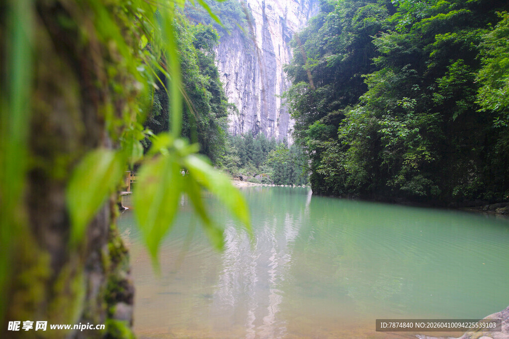 清幽河谷中的绿意景致