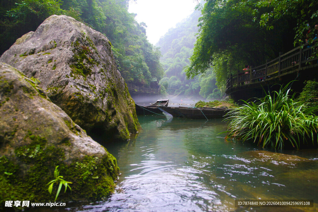 山间溪流旁的清新自然景观