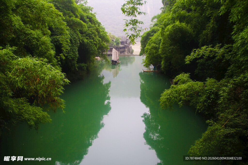 翠绿河道两岸繁茂树林