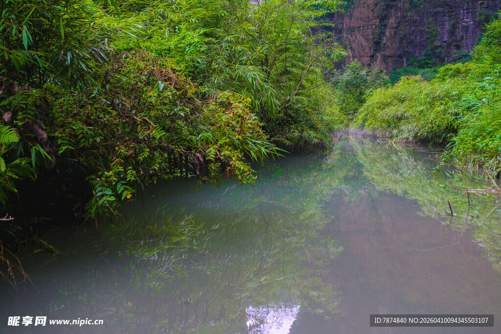 清幽河谷 绿意盎然的溪流
