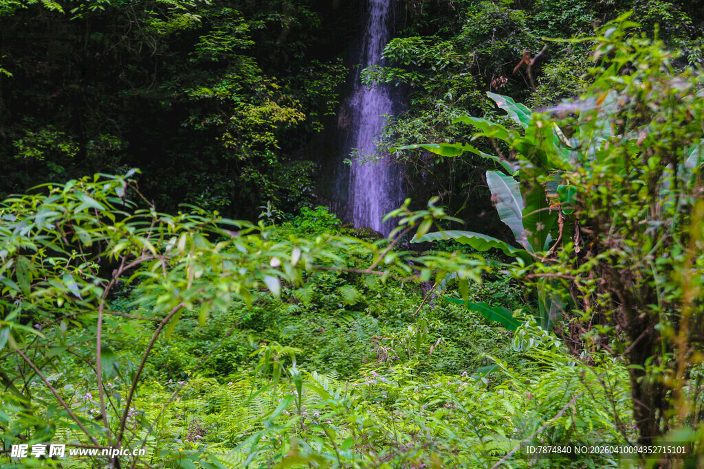 山林间的清新瀑布景观