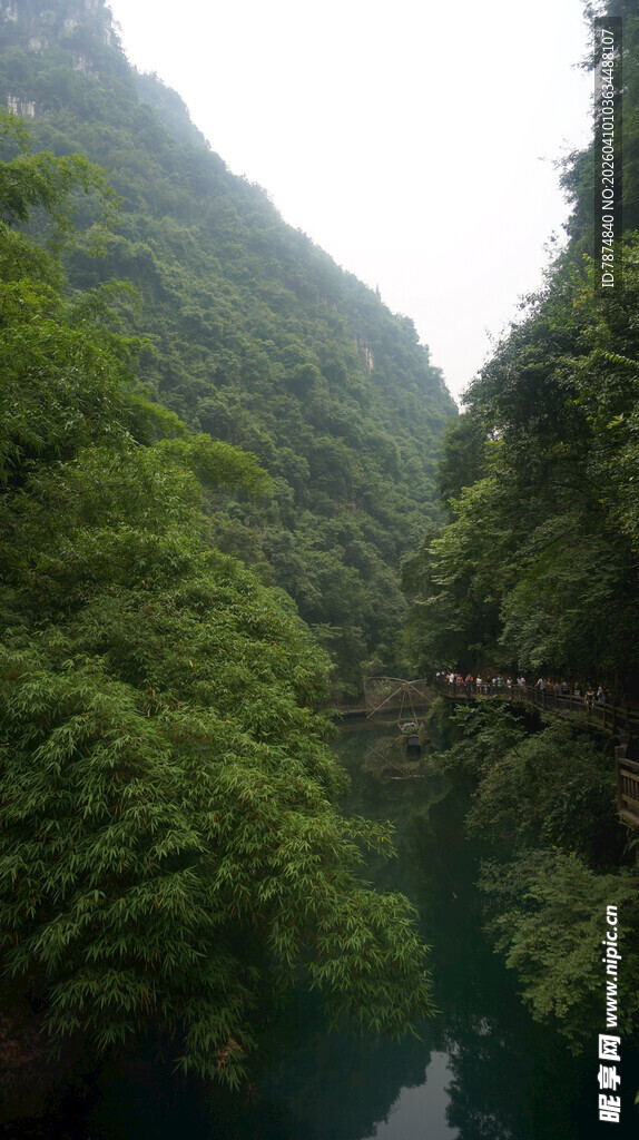 青山绿水间的幽美峡谷