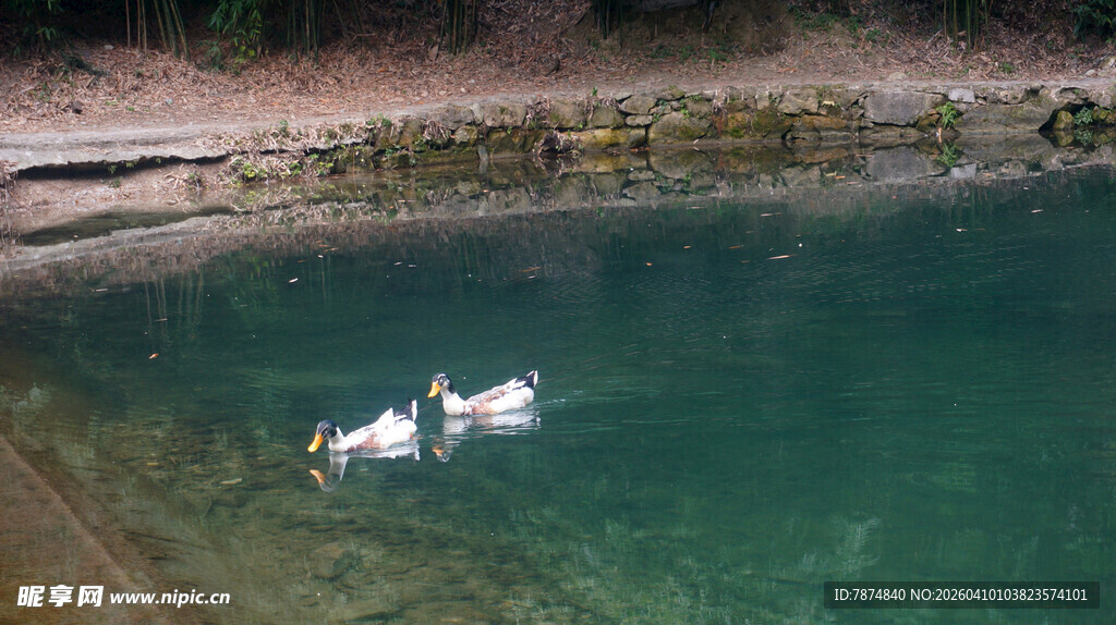 河中双人泛舟赏碧水