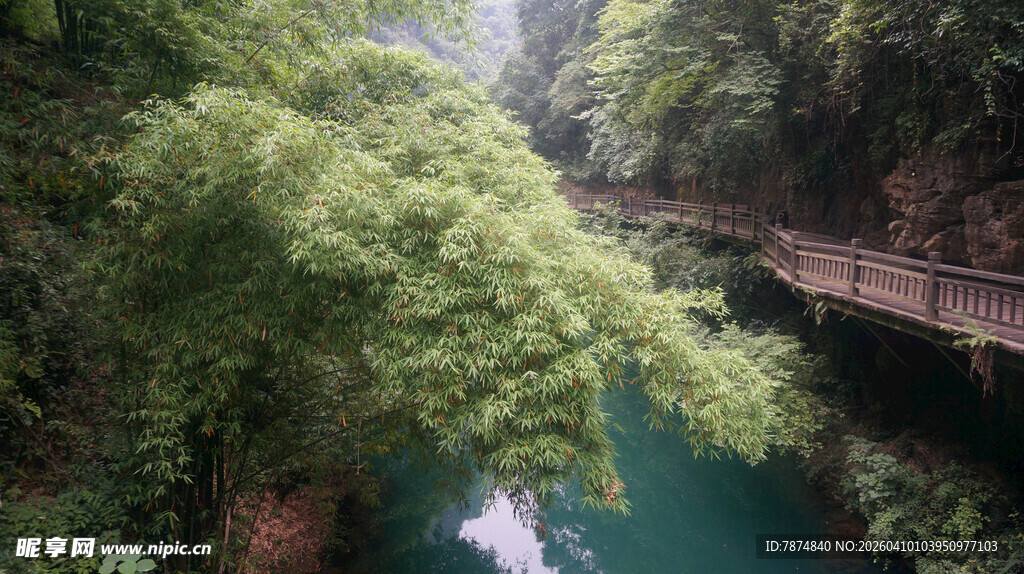 山间绿水悬桥美景