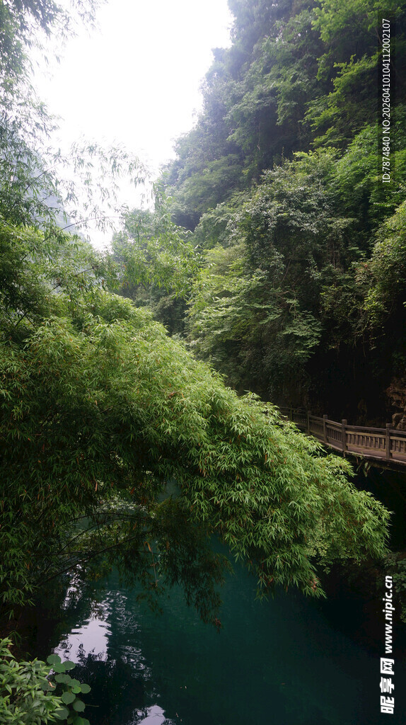 青山绿水间的清幽河谷