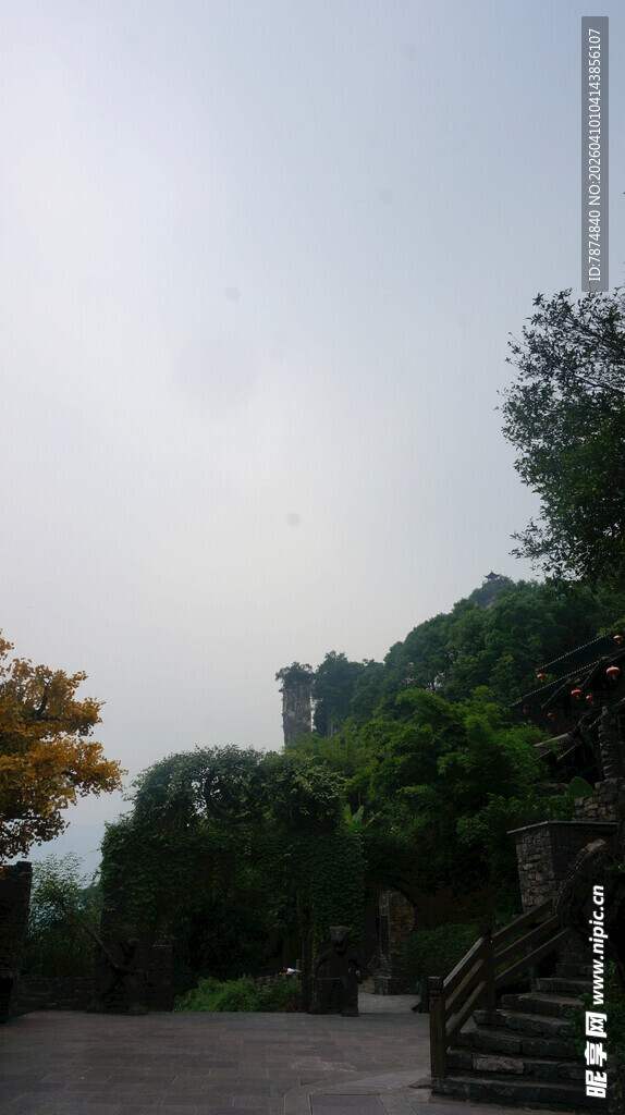山间景致 绿树掩映的道路