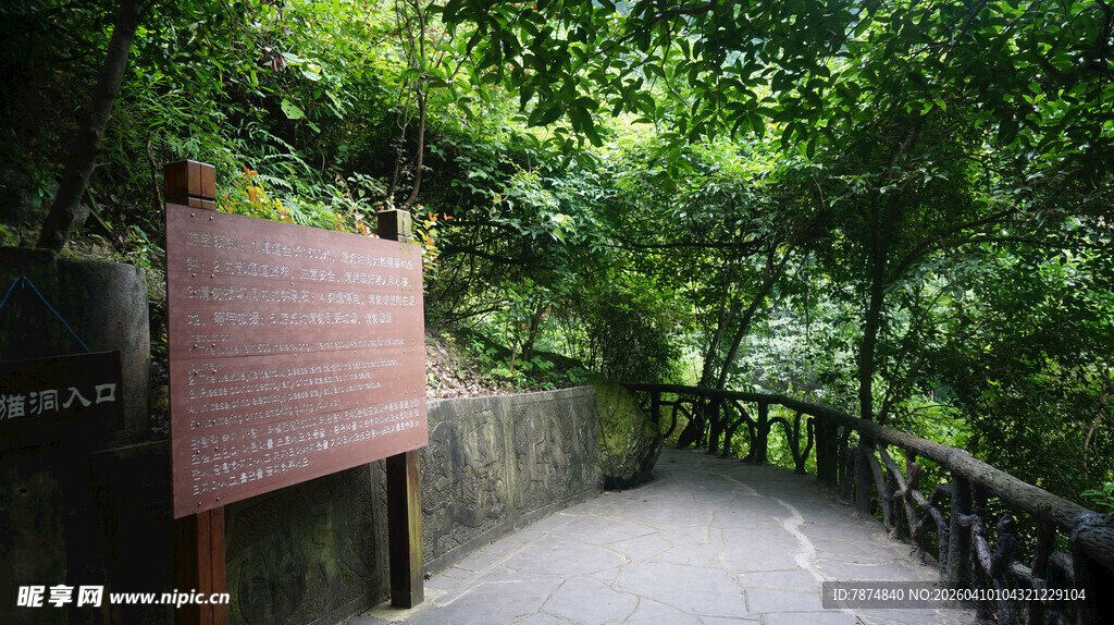 林间步道旁的木质指示牌