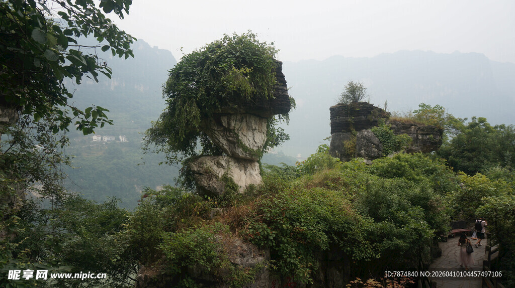 奇峰屹立于葱郁山林间
