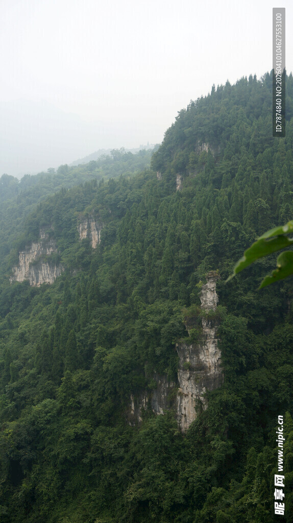 山峦叠翠的茂密山林景观
