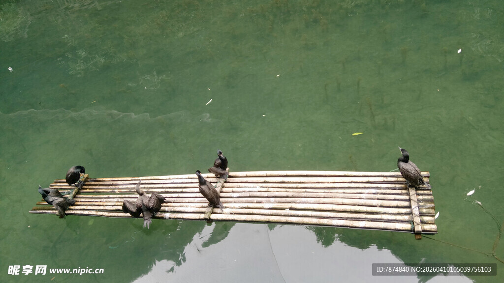 竹筏上的游客悠游水面