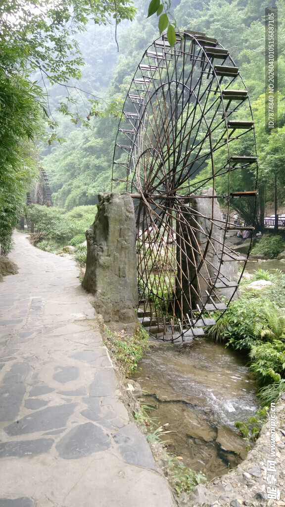 林间幽径 自然景致迷人