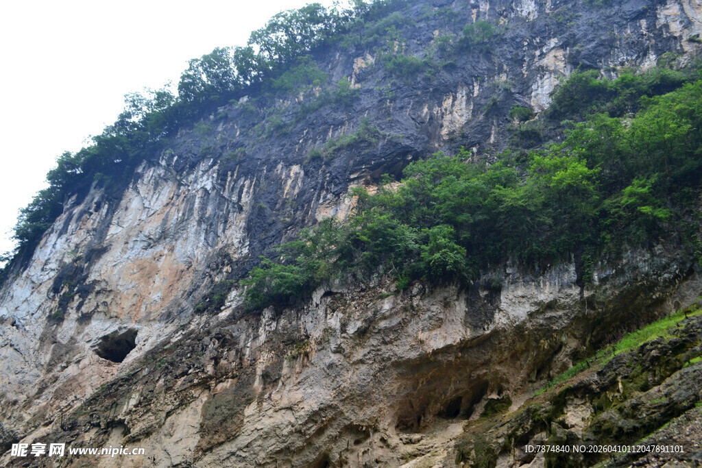 陡峭山崖上的绿意