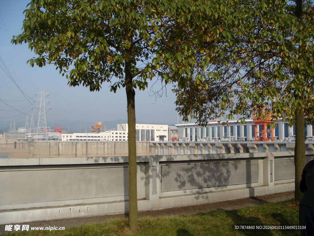 河边绿树与远处建筑景观