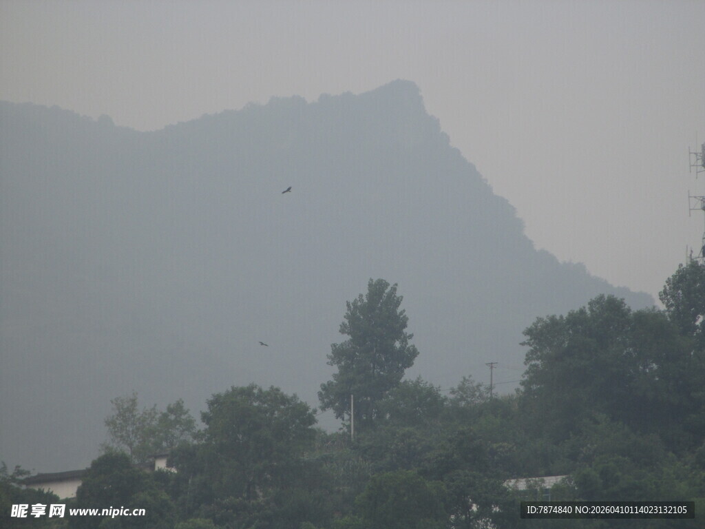 雾中山景 树木点缀