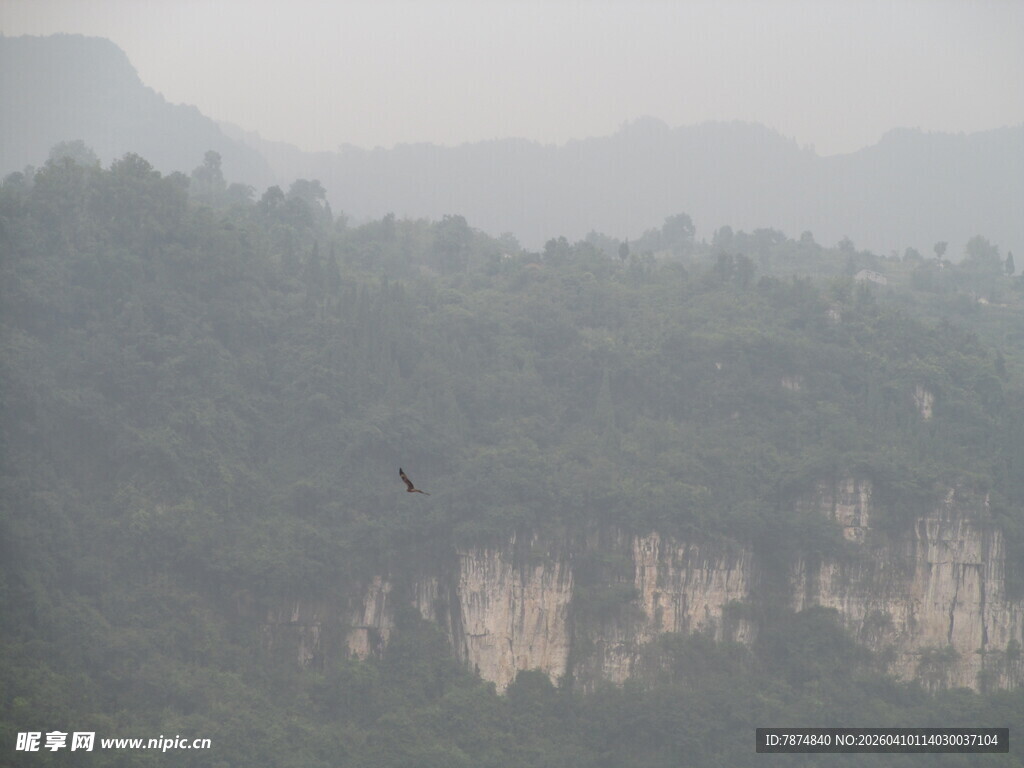 雾中峻岭飞鸟景