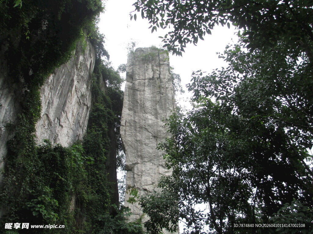 高耸石崖与葱郁林木
