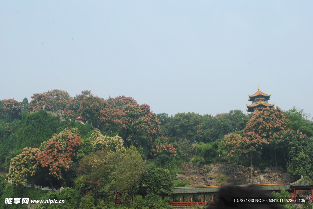 山林间的古建筑景观
