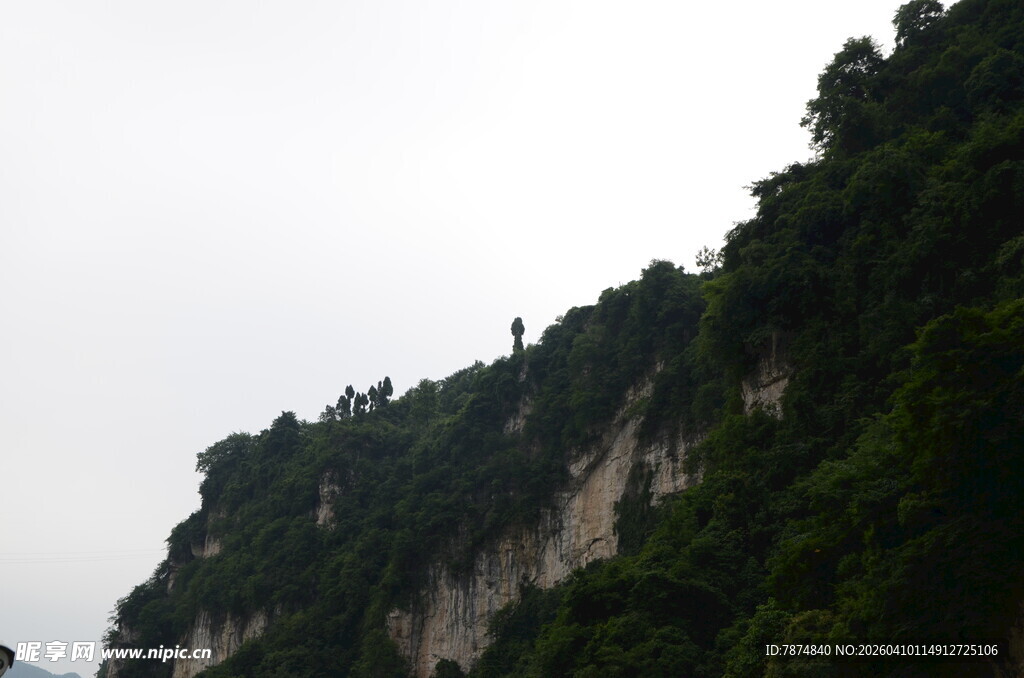 陡峭山壁上的繁茂植被