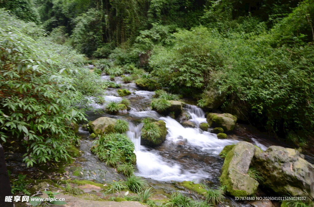 山间溪流 绿意盎然的景致