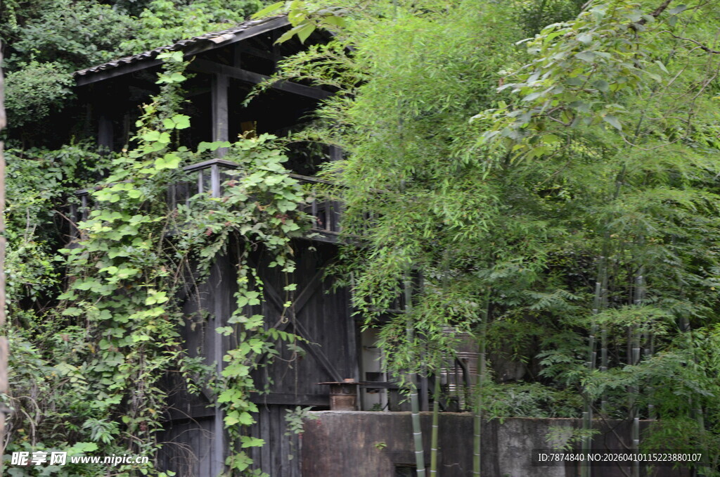 古旧木屋被绿植环绕