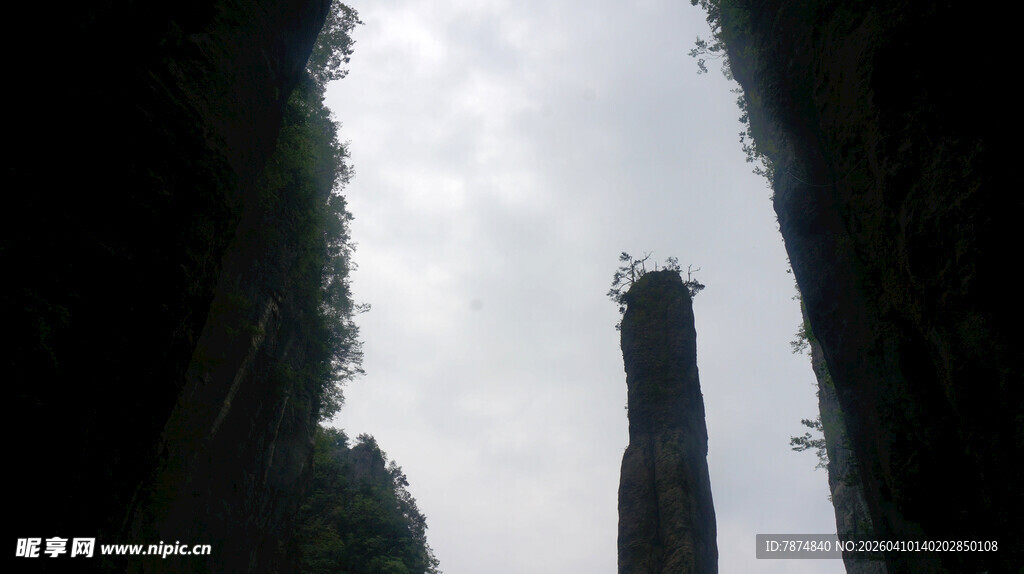 恩施峡谷中高耸的石柱景观