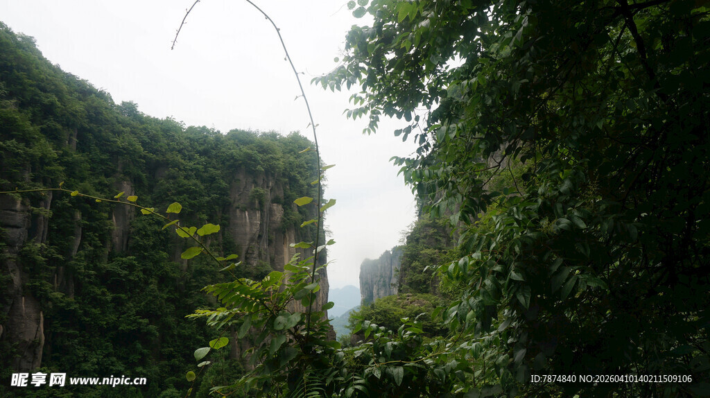 恩施山间绿意盎然的自然景致
