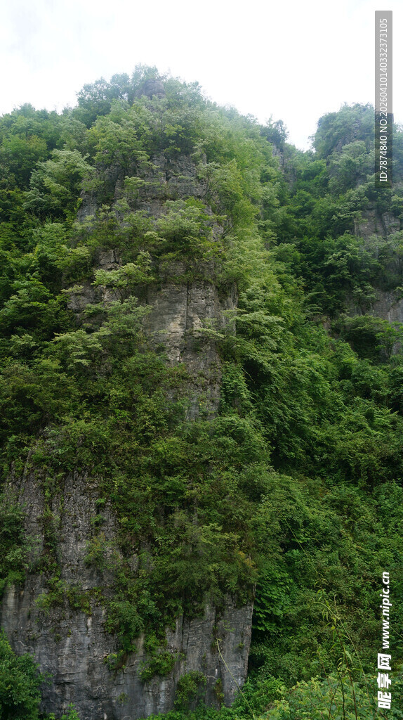 恩施翠绿覆盖的陡峭山崖