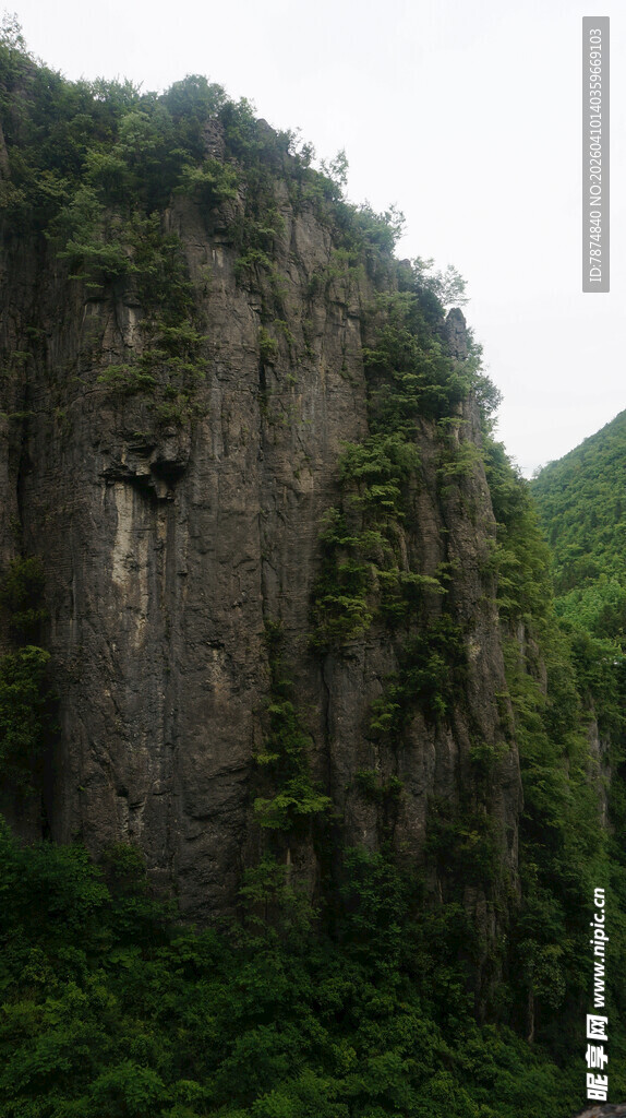 恩施陡峭山壁上的繁茂植被