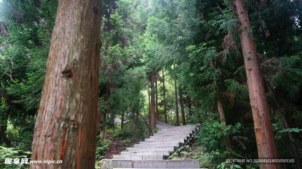 恩施林间漫步小径