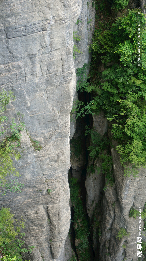 恩施山间峭壁缝隙中的一抹绿意