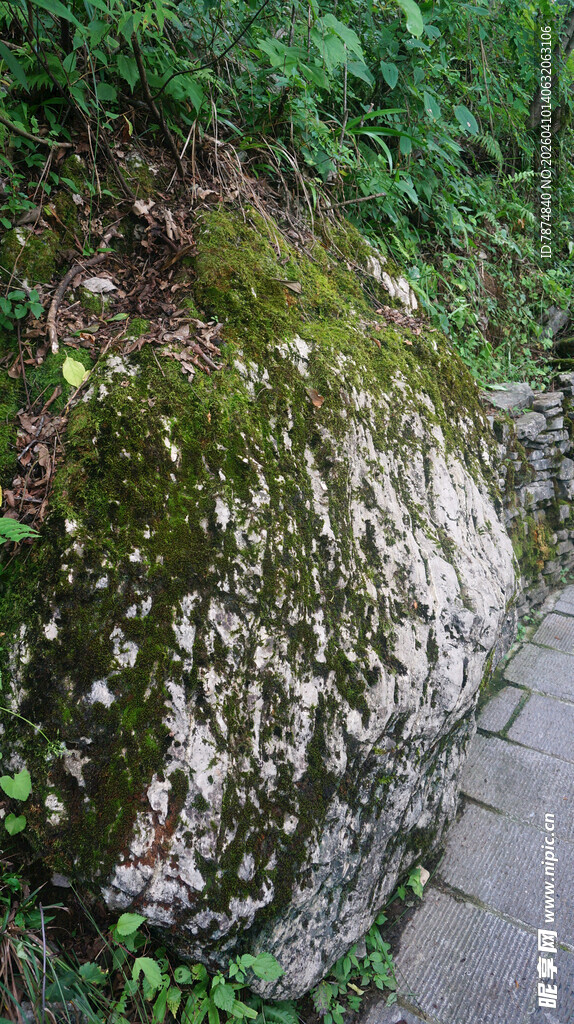 恩施长满苔藓的路边岩石