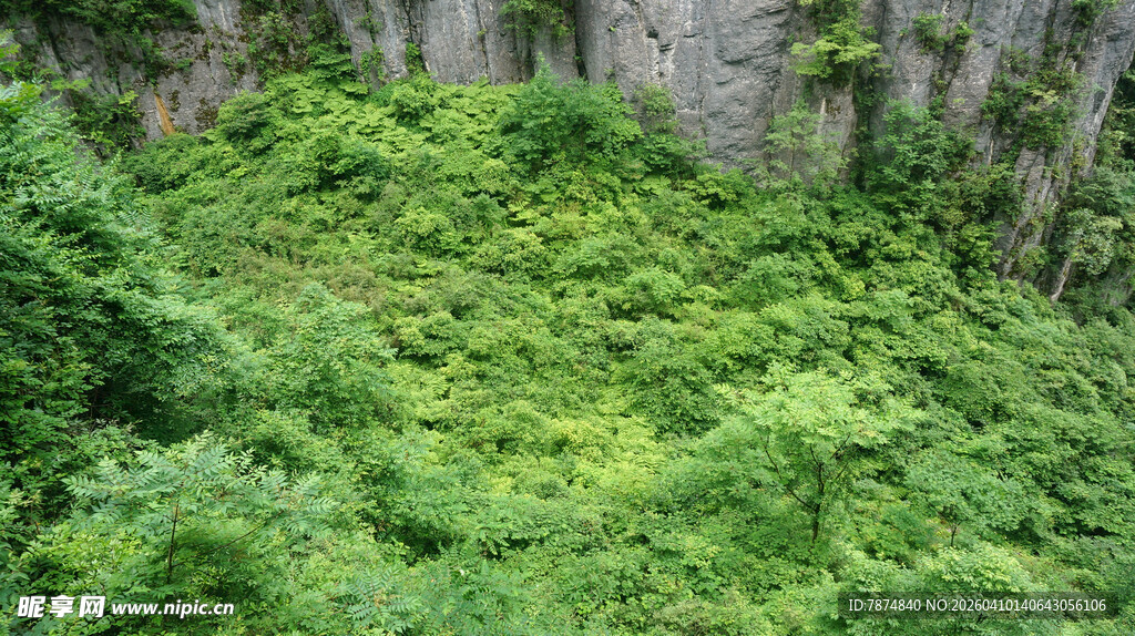 恩施绿意盎然的山间植被