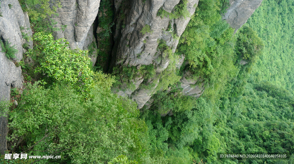 恩施奇峰绿植景观