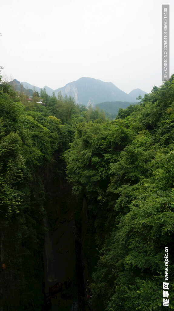 恩施山间繁茂植被与远处山峦