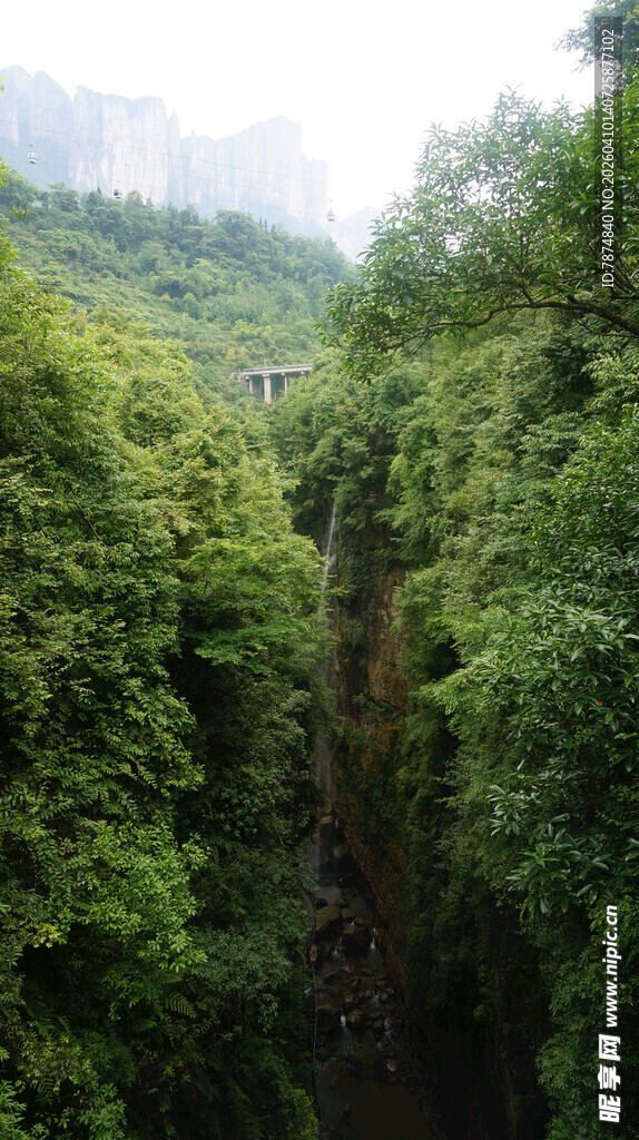 恩施山间葱郁峡谷景色