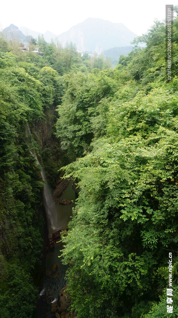 恩施山间绿意盎然的幽深小径
