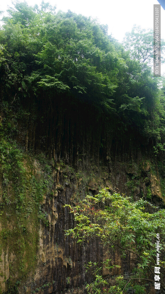 恩施崖壁绿植景观