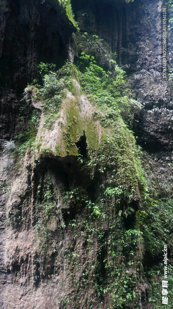 恩施崖壁上的翠绿植物景观