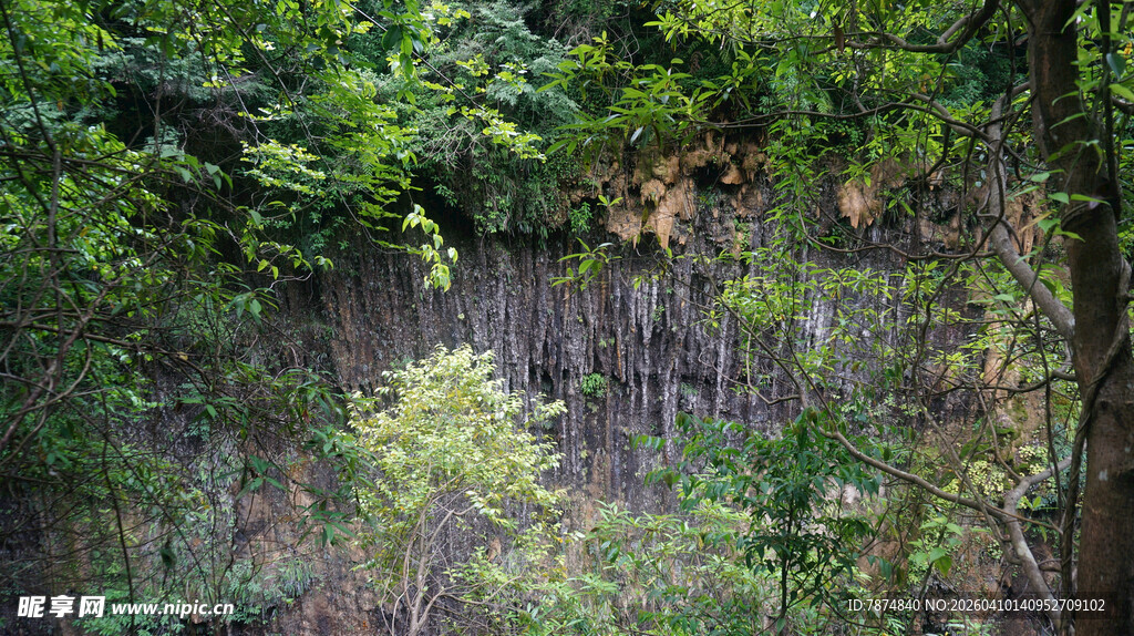 恩施郁郁葱葱的山林景观