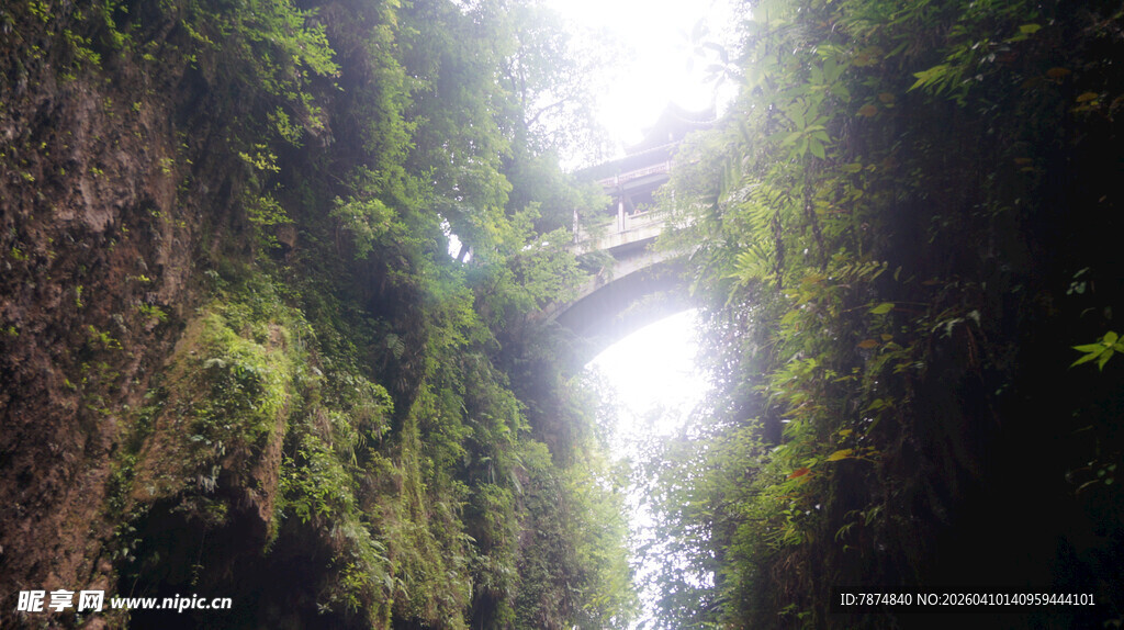 恩施峡谷间绿意盎然的自然奇观