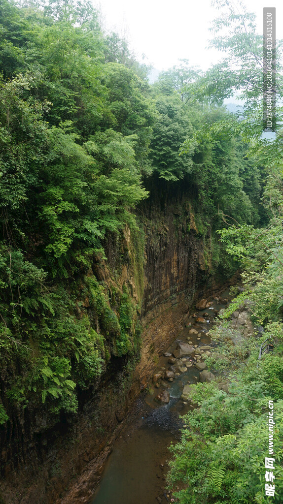 恩施山间繁茂植被覆盖的溪谷