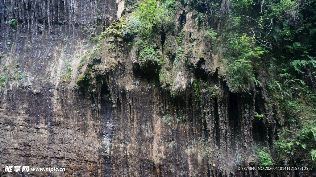 恩施崖壁绿植景观
