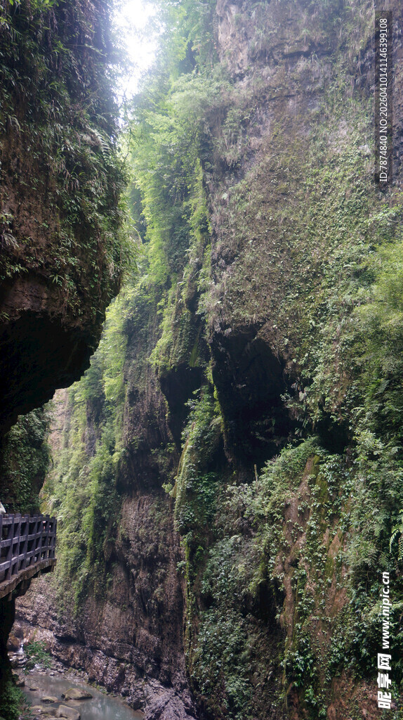 恩施山间幽径 岩壁绿意盎然
