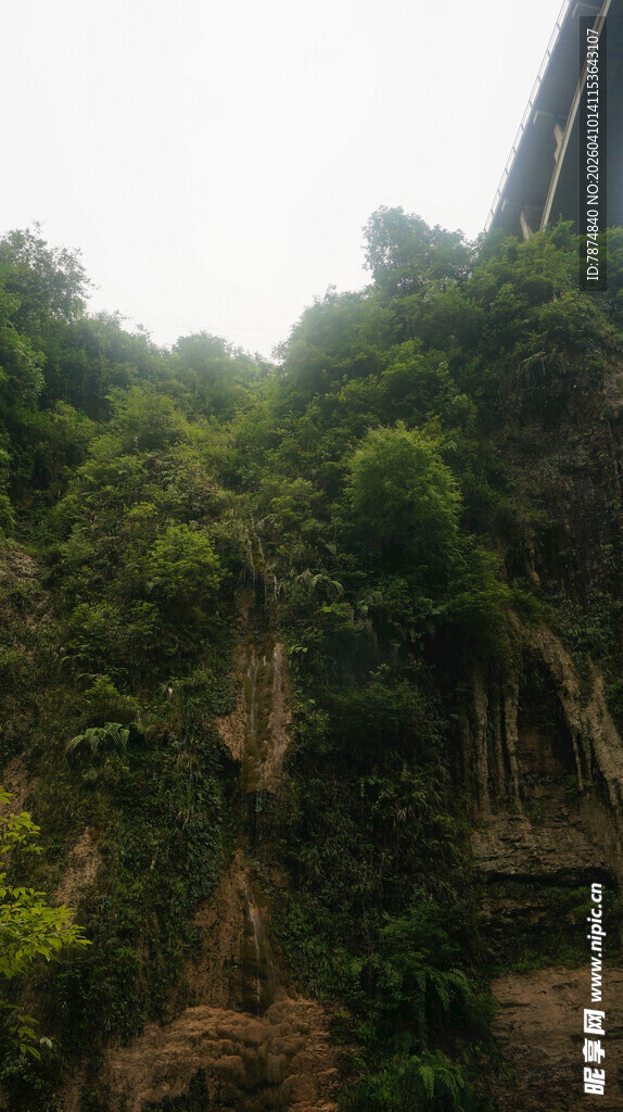 恩施山间繁茂绿植景观