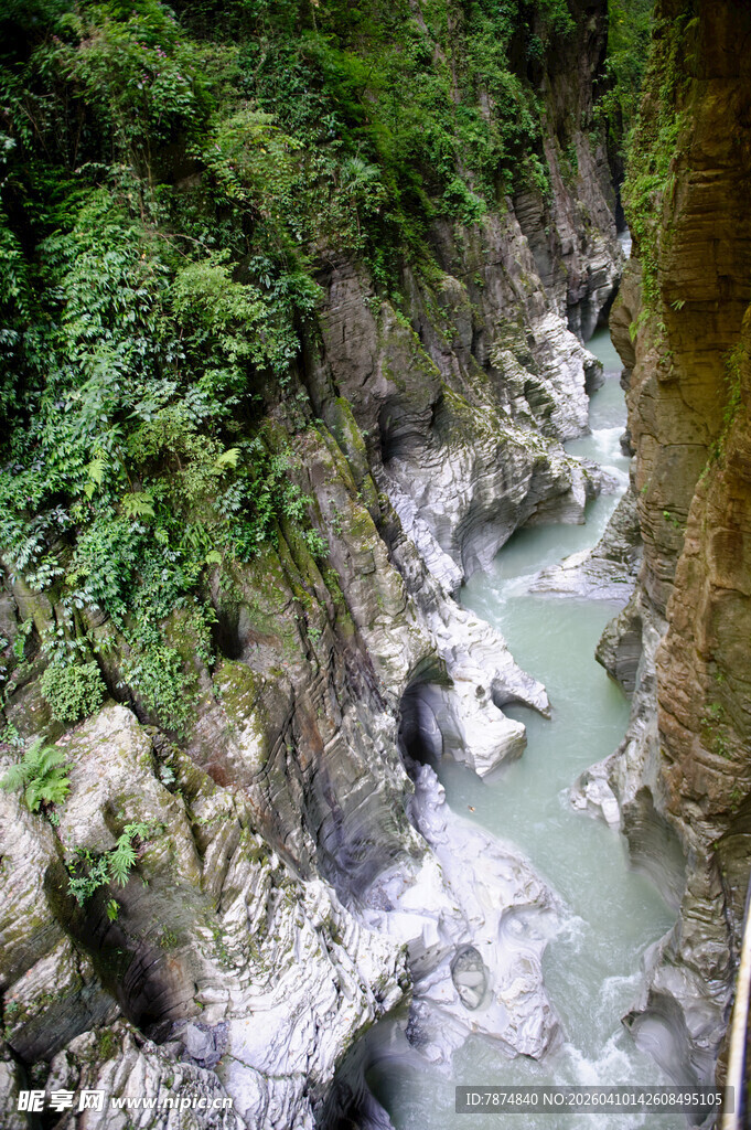 恩施山间溪流穿林而过
