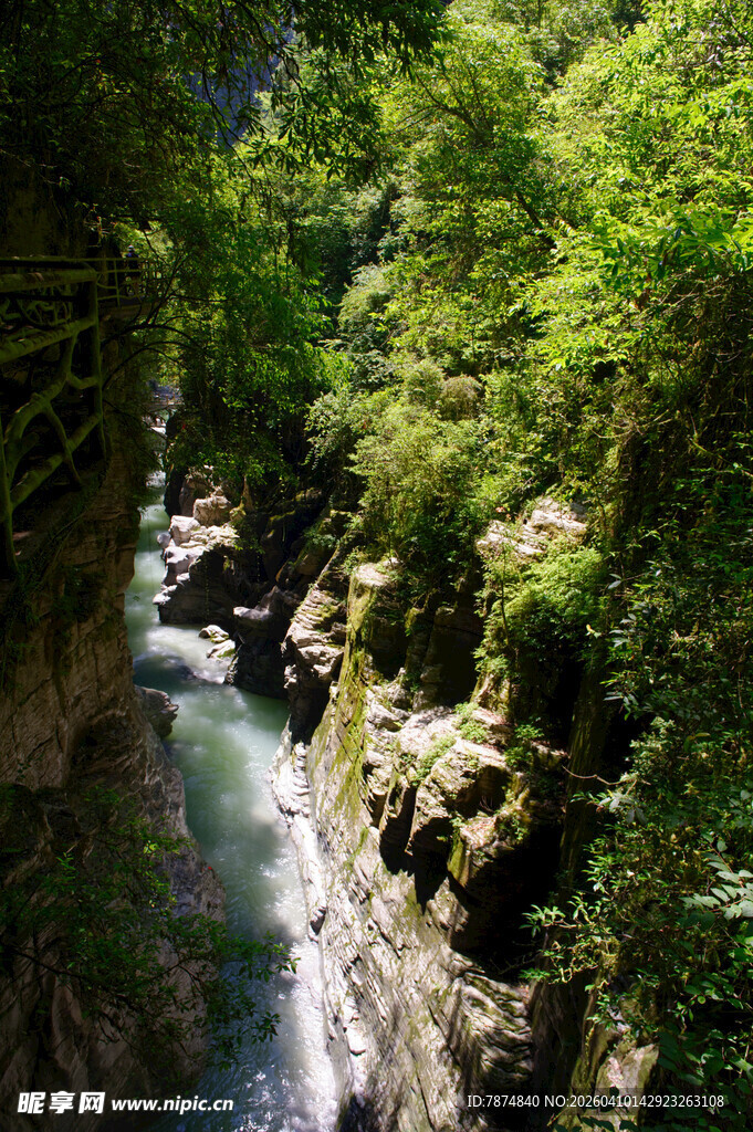 恩施山间溪流穿林而过