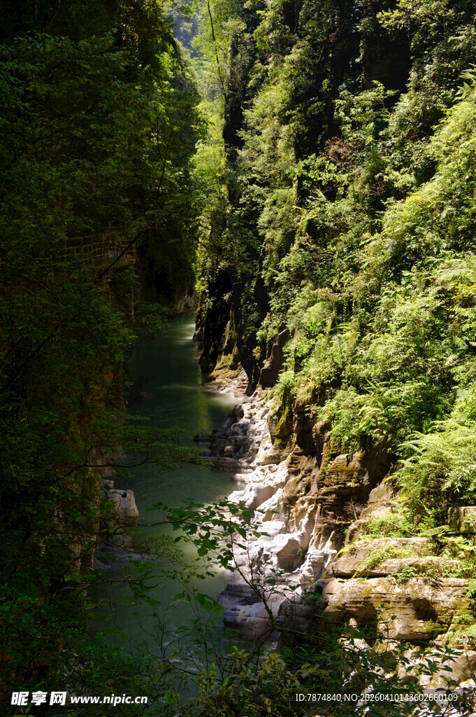 恩施山间幽径 绿意盎然的溪流