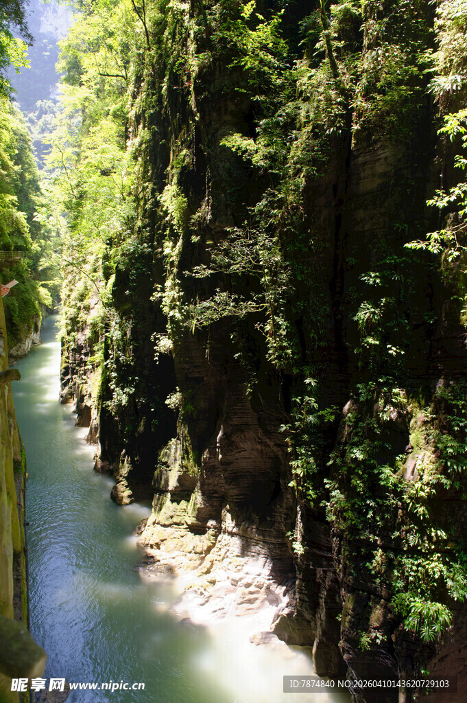 恩施山间溪流穿林而过
