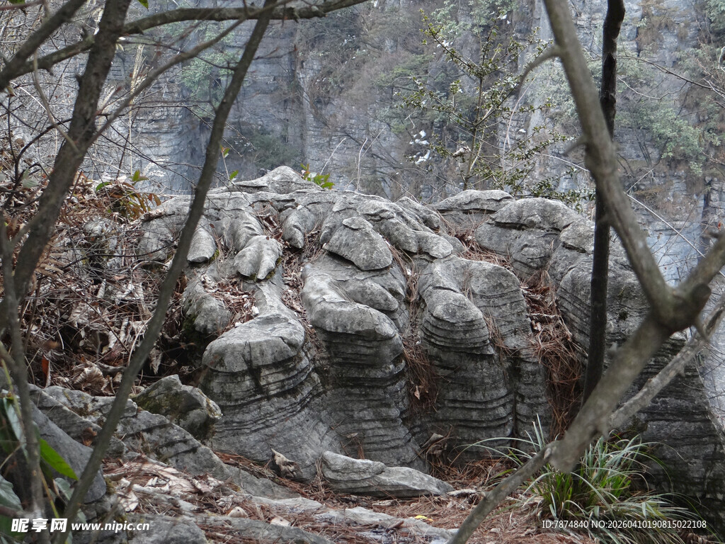 恩施林间嶙峋怪石