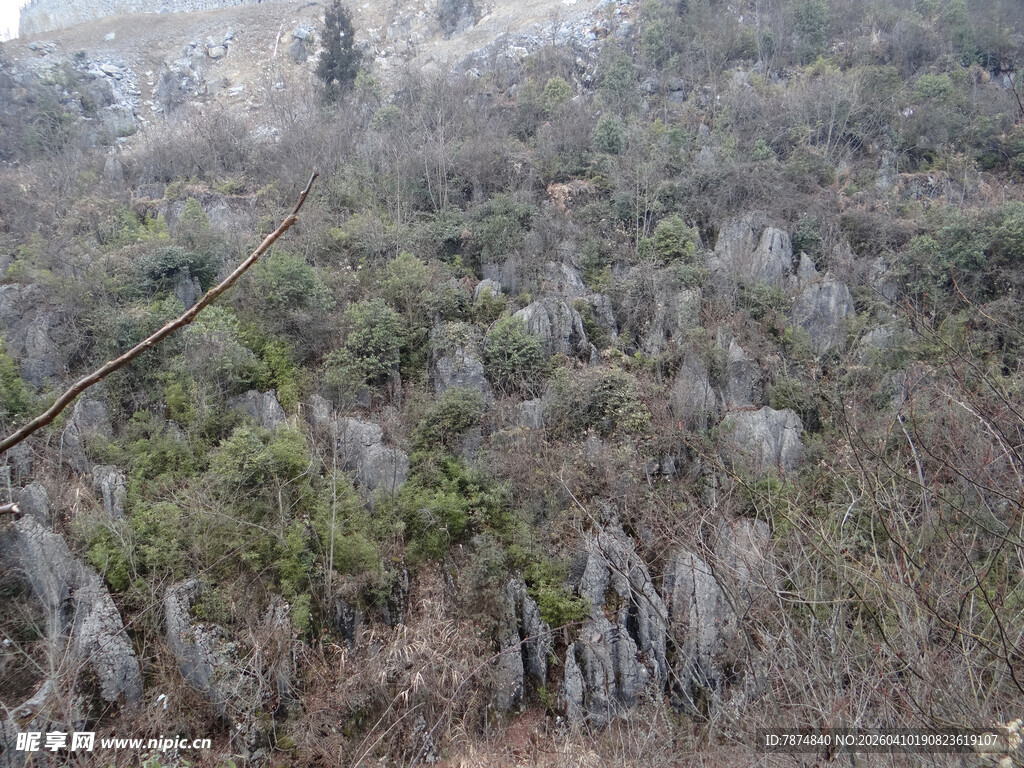 恩施嶙峋石林景观